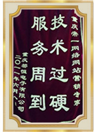 網站建設專家技術服務錦旗