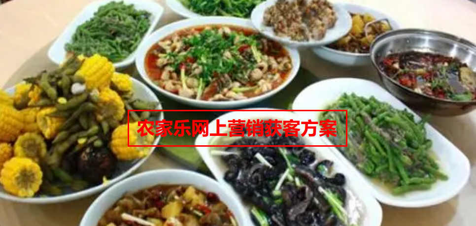 農家樂如何在網上營銷獲客方案